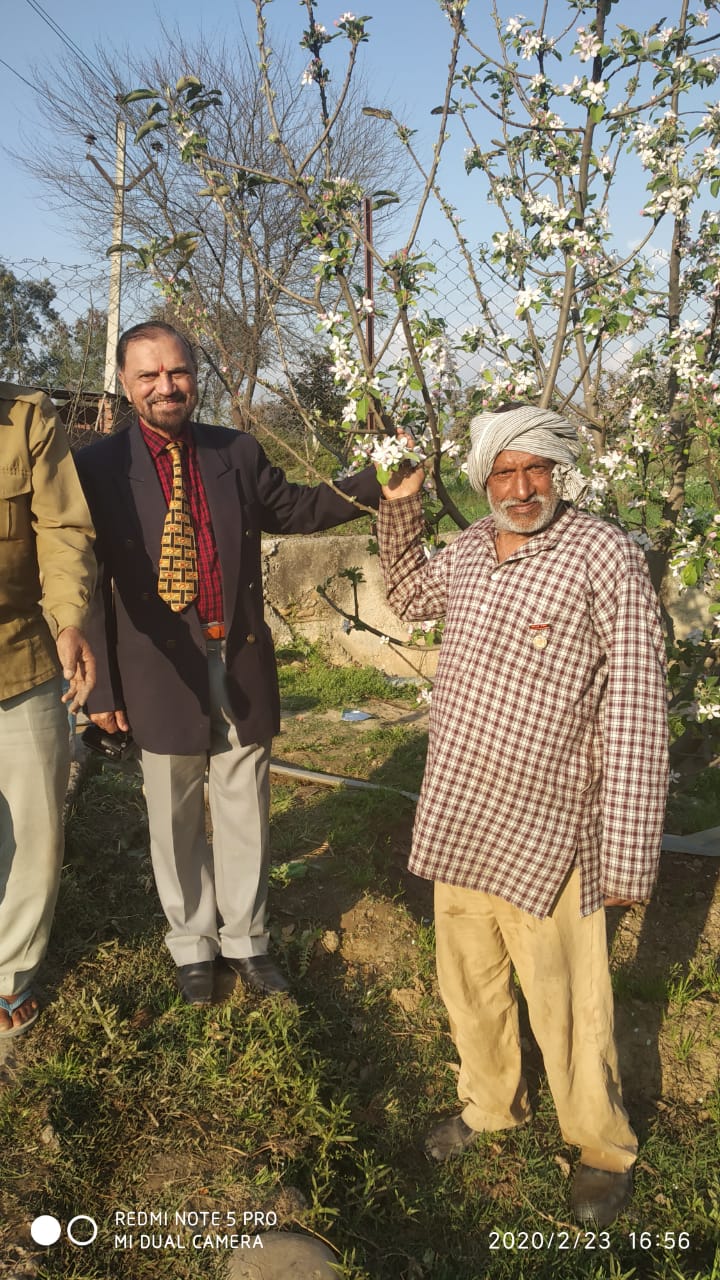 HRMN-99 apple fruiting and flowering in 9 District of Jammu Kashmir (4)