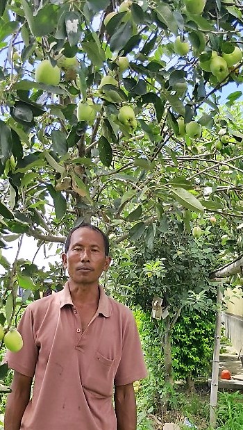HRMN-99 fruits at Sapam Lukhoi Singh, Malching, District Manipur (3)